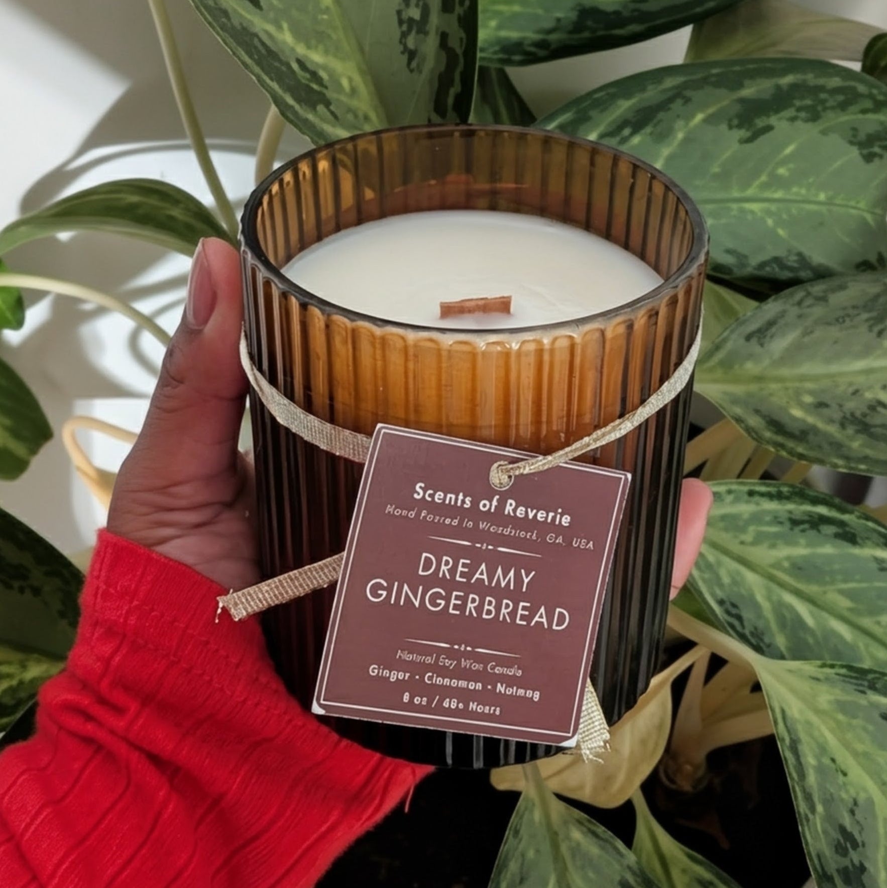 Candle labeled 'Dreamy Gingerbread' held in front of a potted plant