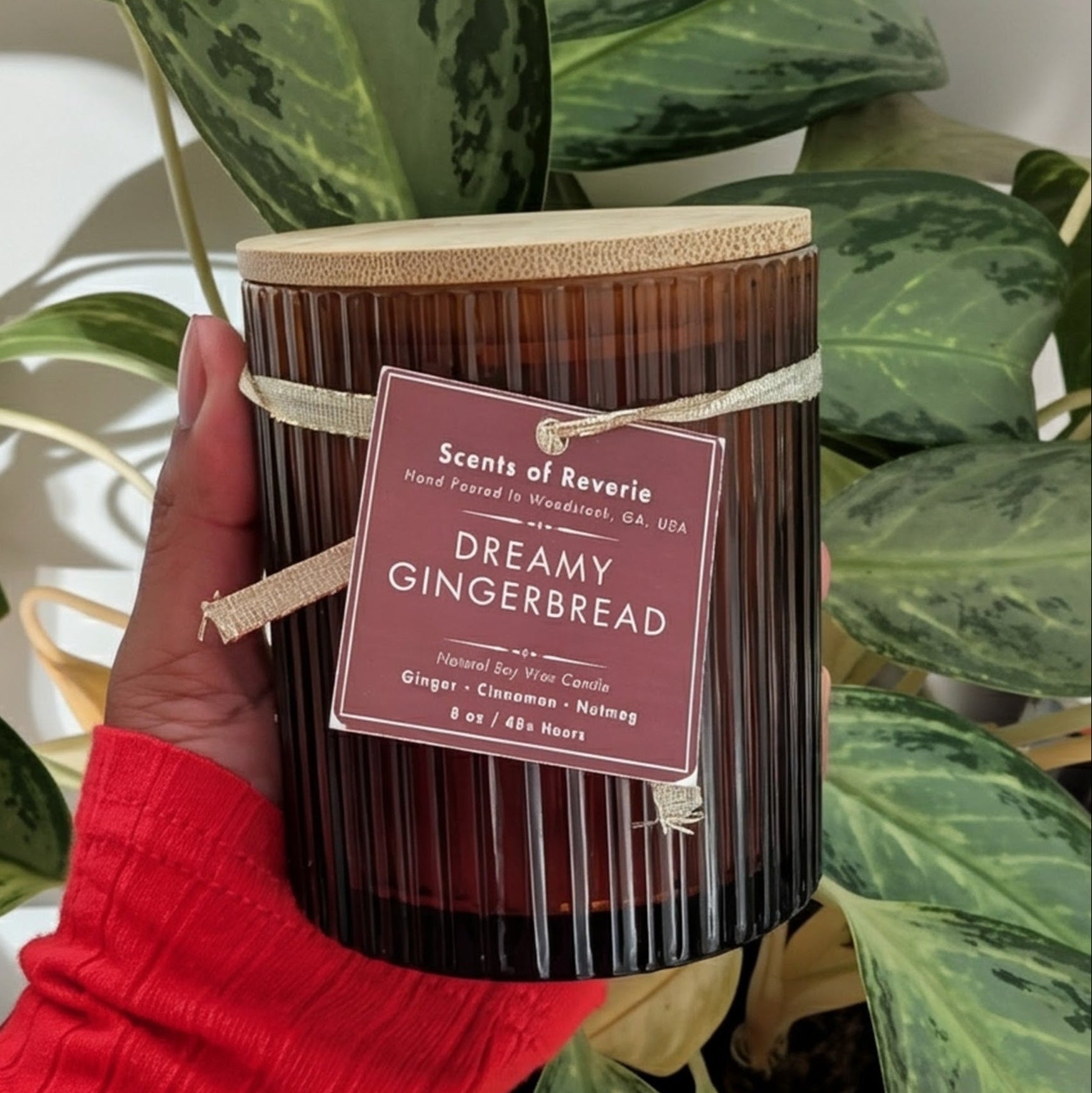 Candle labeled 'Dreamy Gingerbread' held by a person with green plants in the background