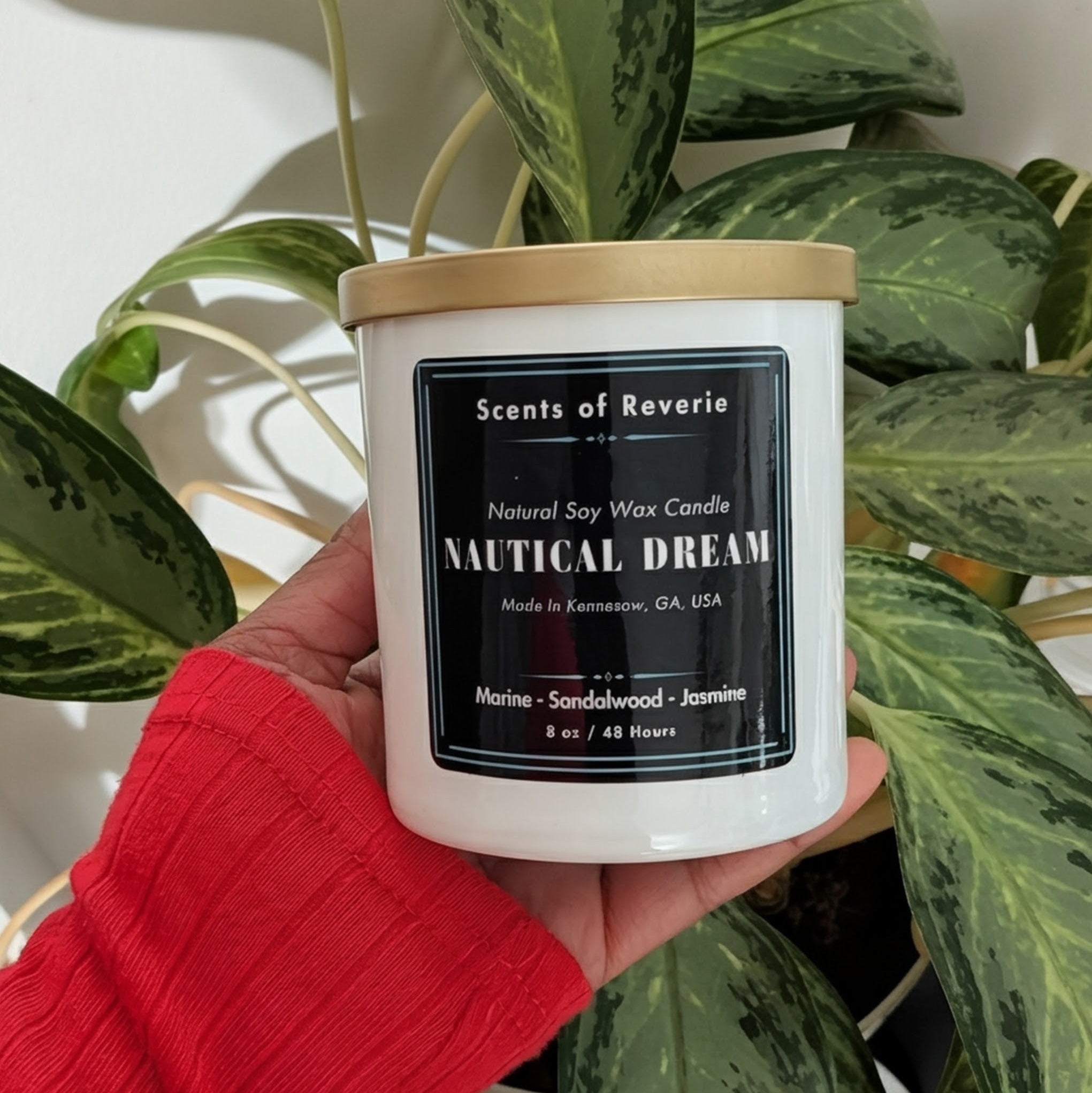 Candle labeled 'Scents of Reverie Nautical Dream' held in front of a leafy plant.