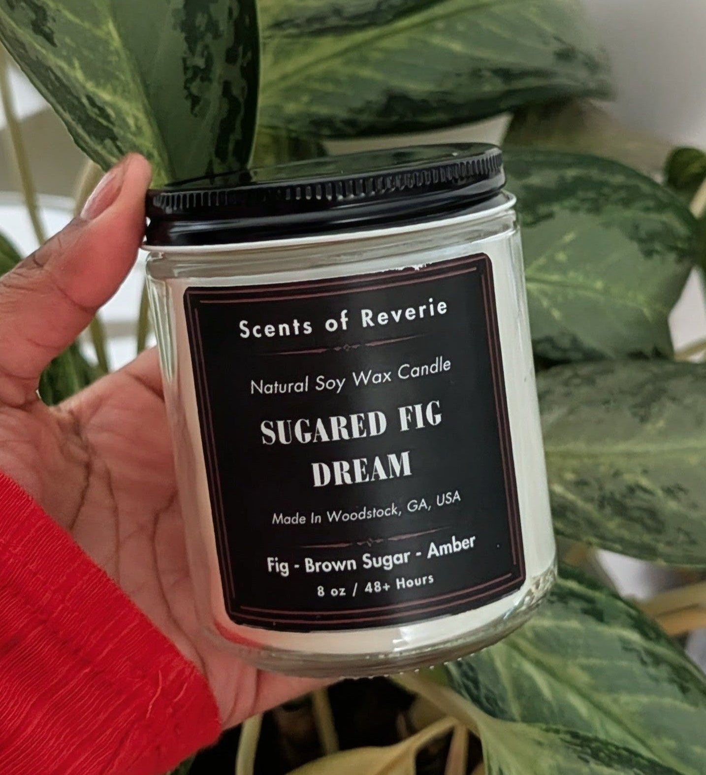 Hand holding a candle labeled 'Sugared Fig Dream' in front of a plant