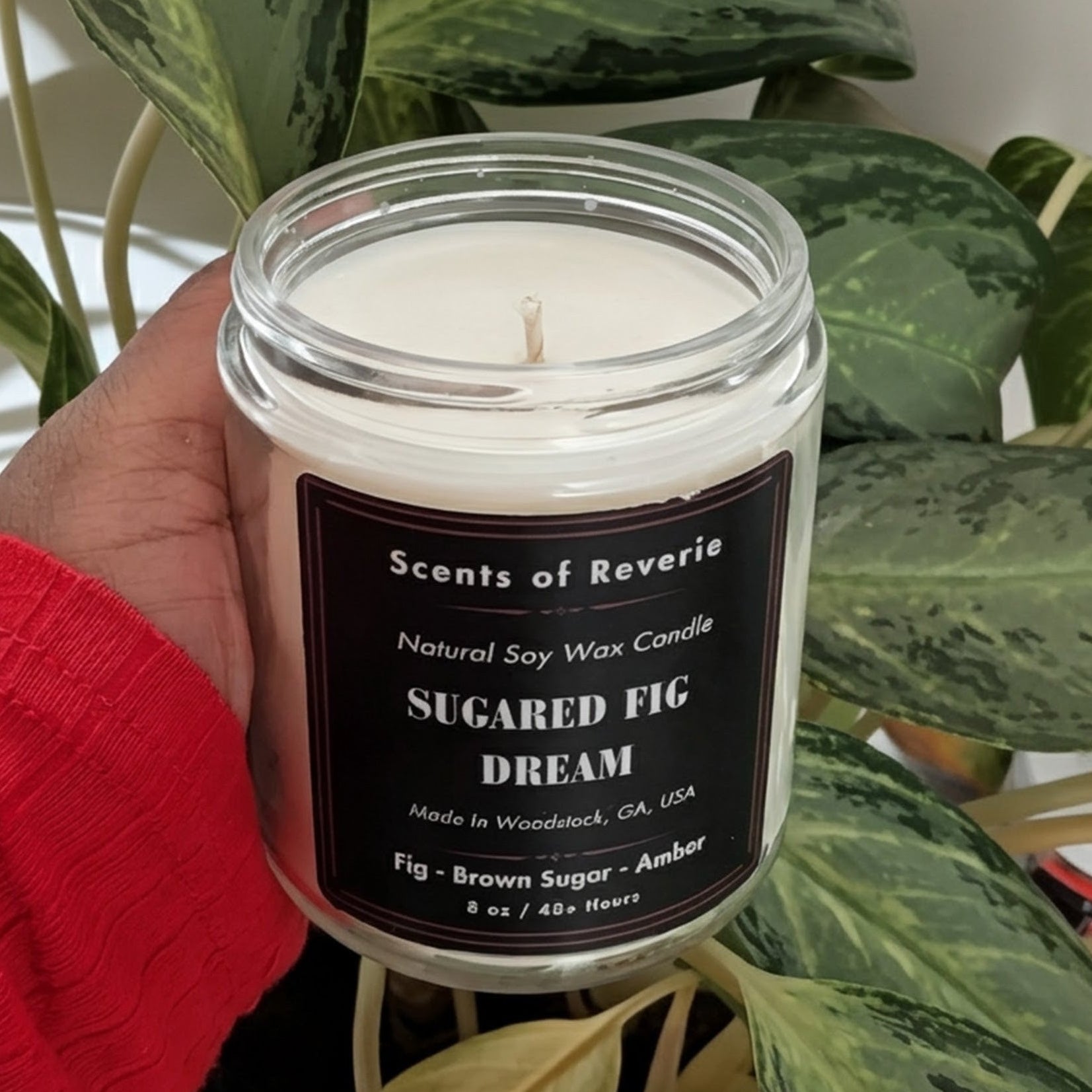 Candle labeled 'Sugared Fig Dream' held by a person with red sleeves, surrounded by green plants.