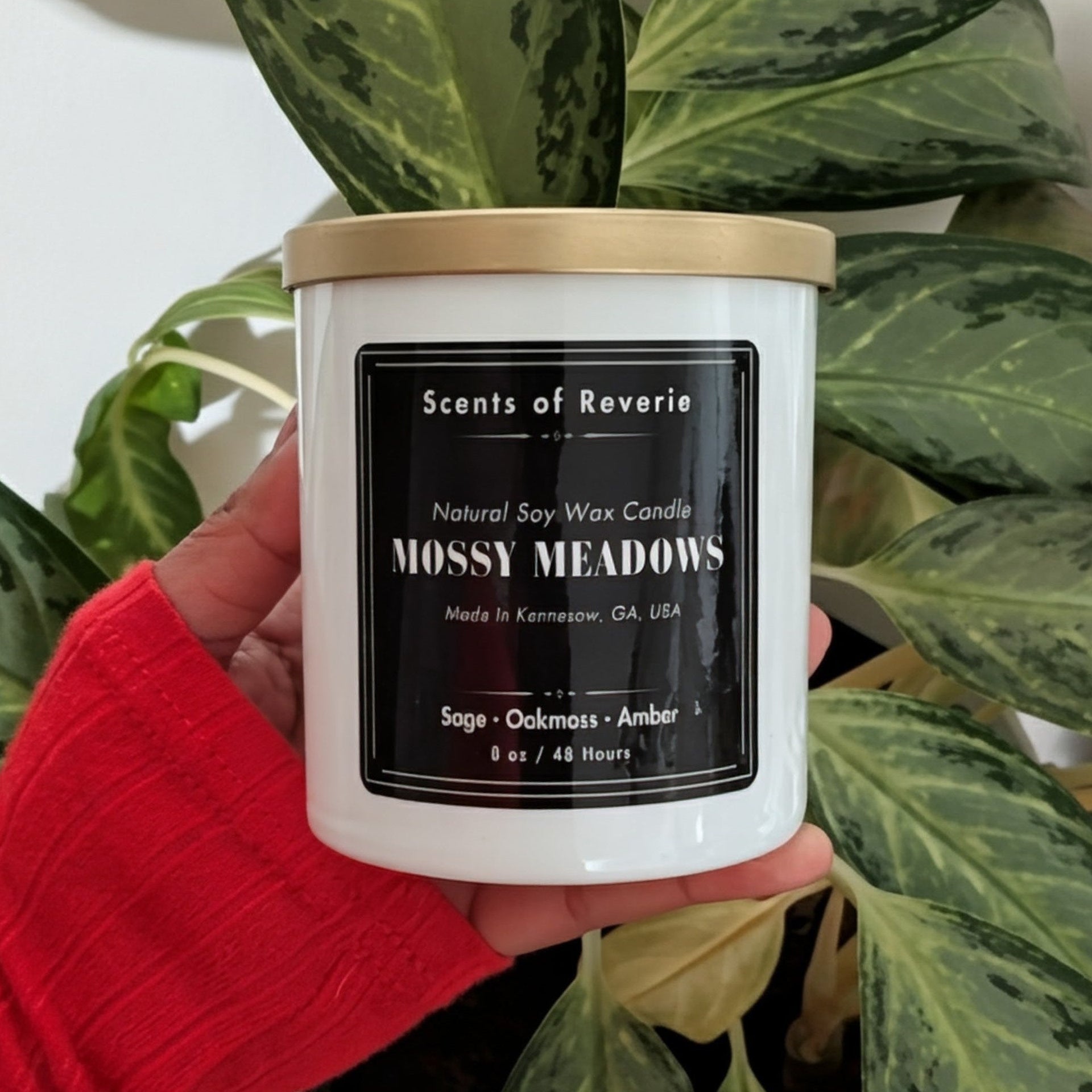 Candle labeled 'Mossy Meadows' held in front of a green plant