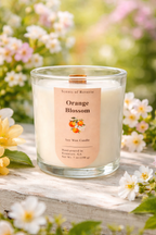 Orange Blossom
